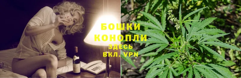 купить наркотик  маркетплейс клад  Шишки марихуана SATIVA & INDICA  Порхов 